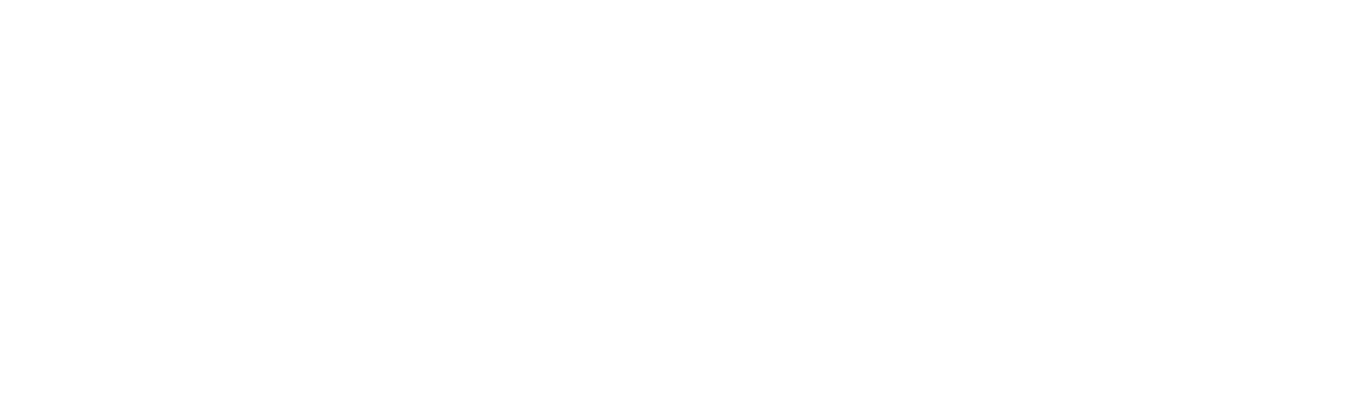 SBK Consulting
